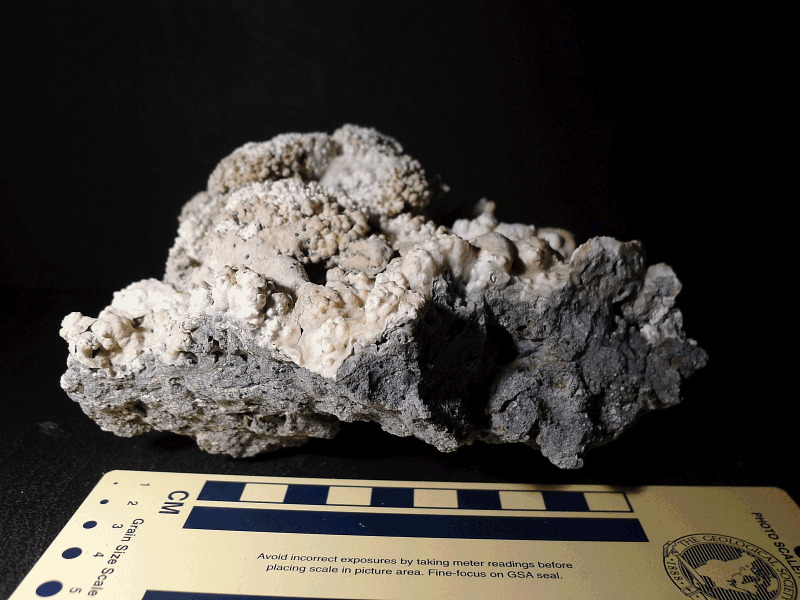 Limestone, calcite, and aragonite veins under white, shortwave, longwave, and short+longwave light; 15 cm