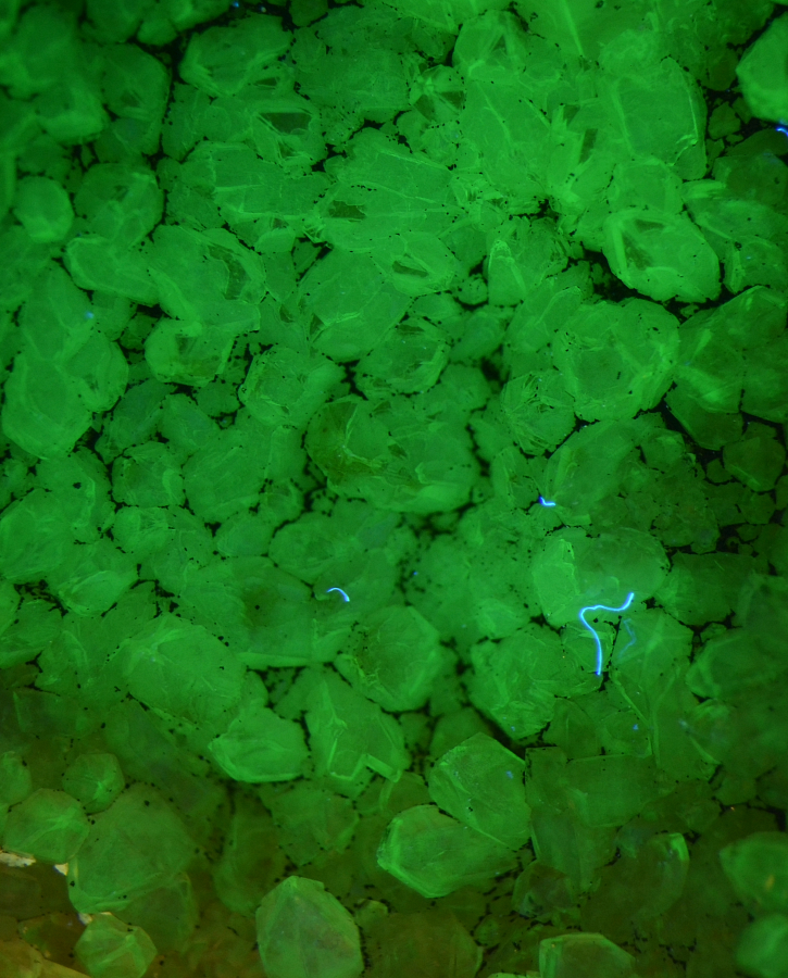 Green fluorescing quartz on clear quartz; shortwave; field of view is 1 cm