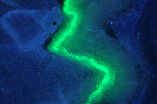 Green fluorescing opal layer in calcite; field of view is 1.4mm