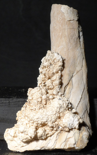 Travertine stalagmite, white light