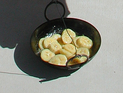 Fried bananas